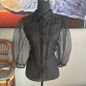 Sheer Black Polka Dot Blouse